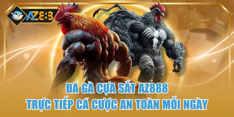 Đá Gà Cựa Sắt AZ888 - Trực Tiếp Cá Cược An Toàn Mỗi Ngày 1 Đá Gà Cựa Sắt AZ888 - Trực Tiếp Cá Cược An Toàn Mỗi Ngày