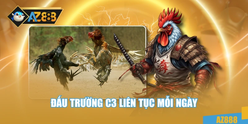 Trực Tiếp Đá Gà C3 – Cực Đỉnh Với Từng Pha Đấu Mãn Nhãn 2 Đấu trường C3 liên tục mỗi ngày