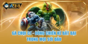 Gà Chọi C1 – Dòng Chiến Kê Bất Bại Trong Mọi Sới Đấu