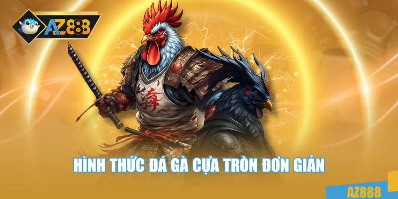 Đá Gà 3 Hình thức đá gà cựa tròn đơn giản