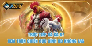 Trực Tiếp Đá Gà 67 Xem Trận Chiến Cực Đỉnh HD Không Lag