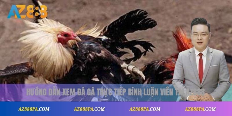 Hướng dẫn xem đá gà trực tiếp có bình luận viên tại AZ888