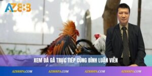Đá Gà Trực Tiếp Bình Luận Viên