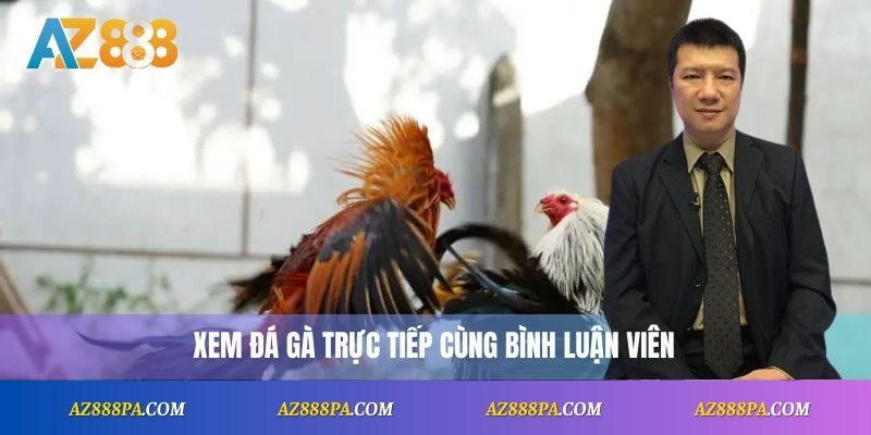 Đá Gà Trực Tiếp Bình Luận Viên