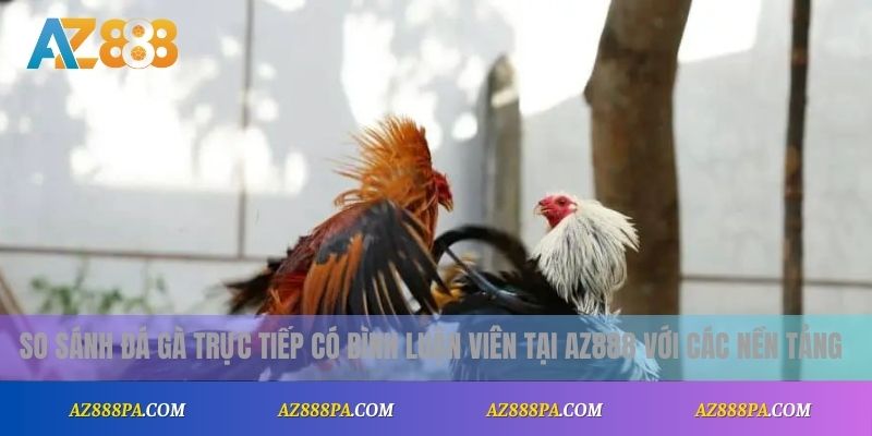 So sánh đá gà trực tiếp có bình luận viên tại AZ888 với các nền tảng khác